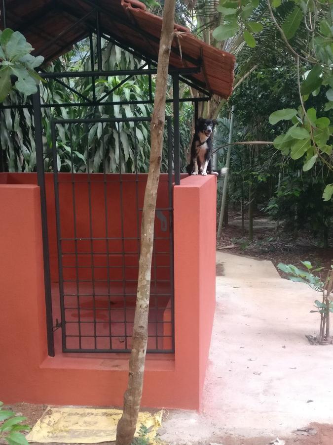 Cordel Farms Mangaluru Exterior foto